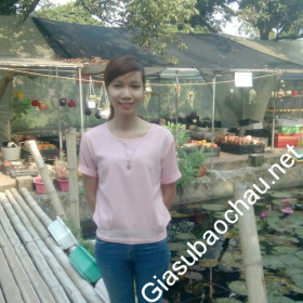 gia sư Hà Nội