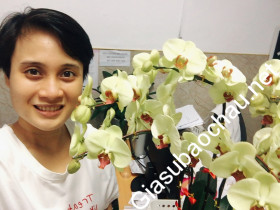 gia sư Hồ Chí Minh