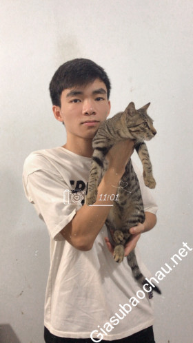 gia sư Hà Nội