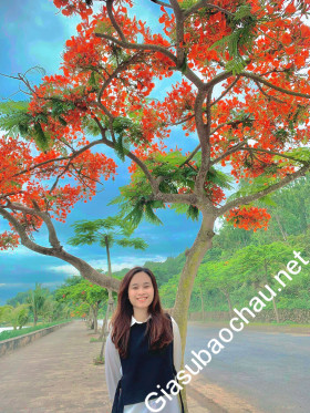 gia sư Hà Nội