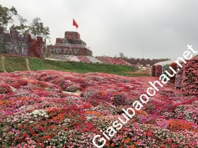 gia sư Vĩnh Phúc