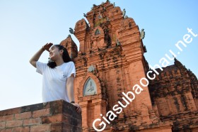 gia sư Hà Nội