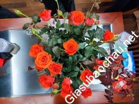 gia sư Hà Nội