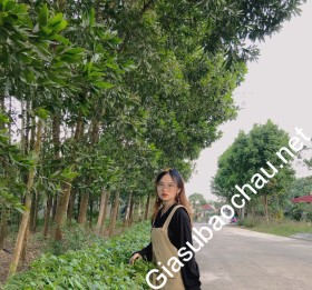 gia sư Hà Nội