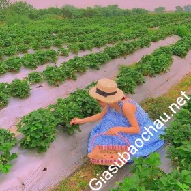 gia sư Hà Nội