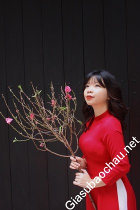 gia sư Hà Nội