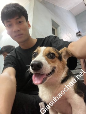 gia sư Hà Nội