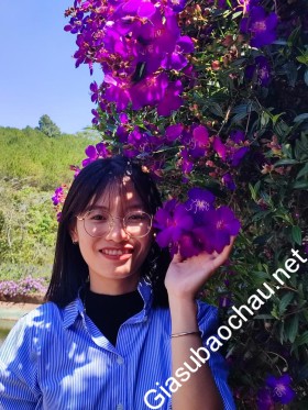 gia sư Online