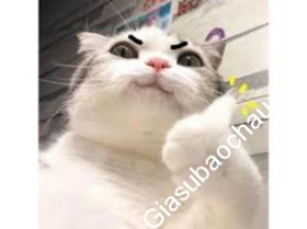 gia sư Hồ Chí Minh