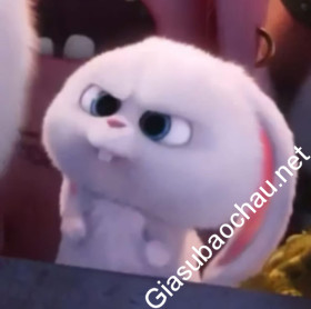 gia sư Hà Nội