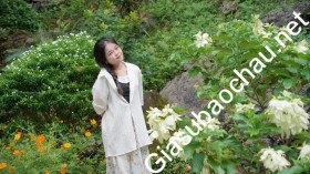 gia sư Hà Nội