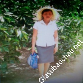 gia sư Vĩnh Phúc
