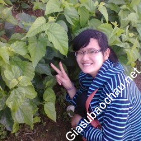 gia sư Hà Nội