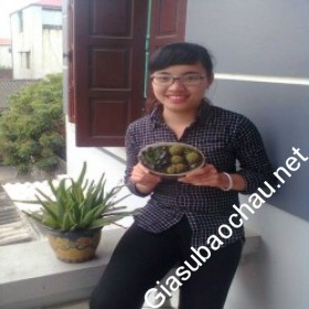 gia sư Hà Nội