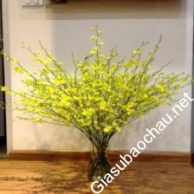 gia sư Đà Nẵng