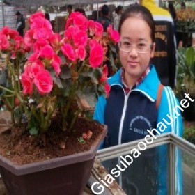 gia sư Hà Nội