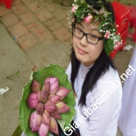 gia sư Hà Nội