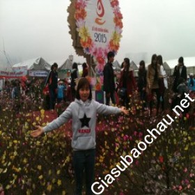 gia sư Hà Nội