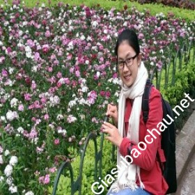 gia sư Hà Nội
