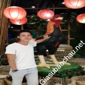 gia sư Đà Nẵng