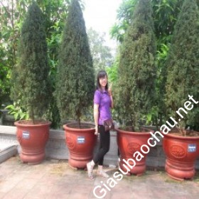 gia sư Hà Nội