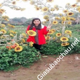 gia sư Hà Nội