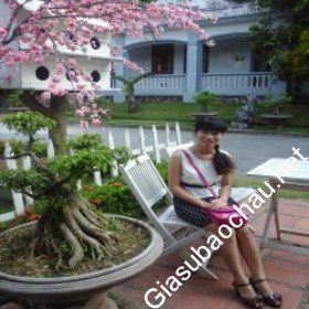 gia sư Hà Nội