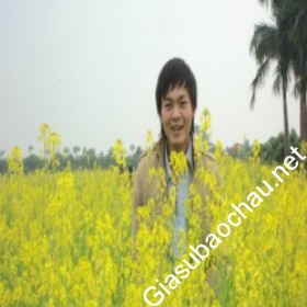gia sư Hà Nội