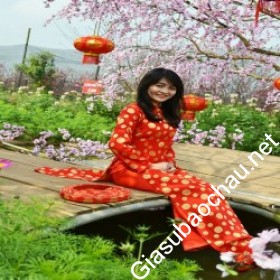 gia sư Hà Nội