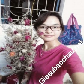 gia sư Hà Nội