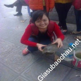 gia sư Hà Nội