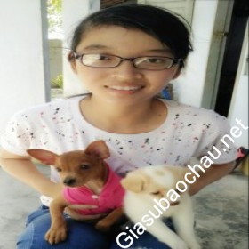 gia sư Khánh Hòa