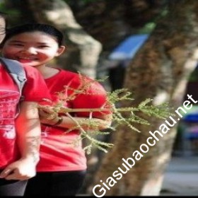 gia sư Hà Nội