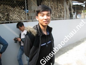 gia sư Hà Nội