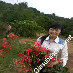 gia sư Hà Nội