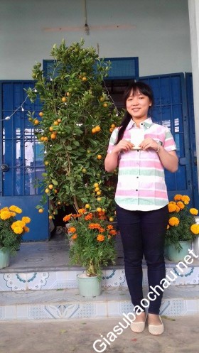 gia sư Khánh Hòa