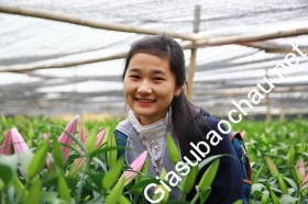gia sư Hà Nội