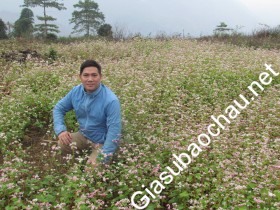 gia sư Hà Nội