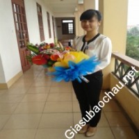 Gia sư giỏi Đại học Sư phạm Hà Nội chuyên dạy kèm môn Ngữ văn