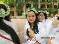 Gia sư giỏi Đại học Dược Hà Nội chuyên dạy kèm môn Toán, Hóa