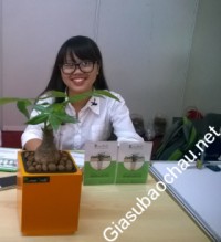 Gia sư giỏi Đại học Quốc gia Hà Nội - Đại học Kinh tế chuyên dạy kèm môn Toán, Tiếng Anh