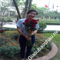 Gia sư giỏi Đại học Sư phạm Hà Nội chuyên dạy kèm môn Ngữ văn