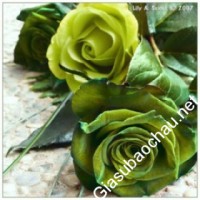 Gia sư giỏi Đại học Y Hà Nội chuyên dạy kèm môn Toán, Hóa, Sinh học