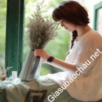 Gia sư giỏi Học viện Báo chí và Tuyên truyền chuyên dạy kèm môn Ngữ văn