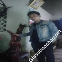 Gia sư giỏi Học viện An ninh Nhân dân chuyên dạy kèm môn Toán, Tiếng Việt