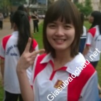 Gia sư giỏi Đại học Hà Nội chuyên dạy kèm môn Tiếng Anh