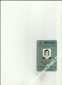 Giáo viên giỏi Đại học Điện lực chuyên dạy kèm môn Tiếng Anh