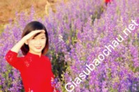 Gia sư giỏi Đại học Sư phạm Hà Nội chuyên dạy kèm môn Toán, Ngữ văn, Tiếng Việt