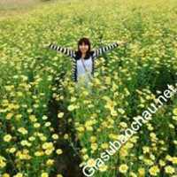 Gia sư giỏi Đại học Quốc gia Hà Nội - Đại học Khoa học Tự nhiên chuyên dạy kèm môn Vật lý, Hóa