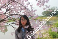 Gia sư giỏi Đại học Ngoại thương chuyên dạy kèm môn Toán, Tiếng Anh, Ngữ văn